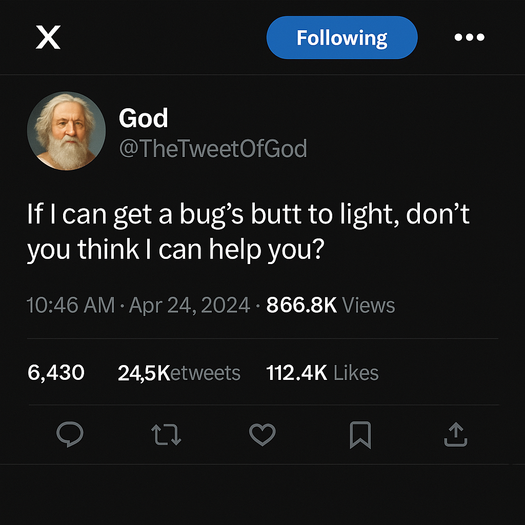 Tweet from parody account @TheTweetOfGod: “If I can get a bug’s butt to light, don’t you think I can help you?” with high engagement stats on a dark-themed X post.