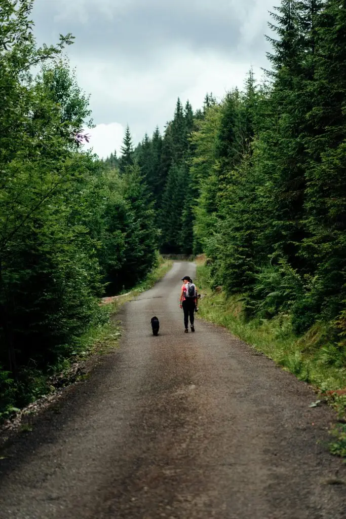 Walking with God – faith reflections from everyday moments | Dog Walk Talk by Joe Miller
